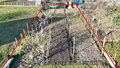 DE VÂNZARE TEREN AGRICOL — 6 ARI Merenii Noi 